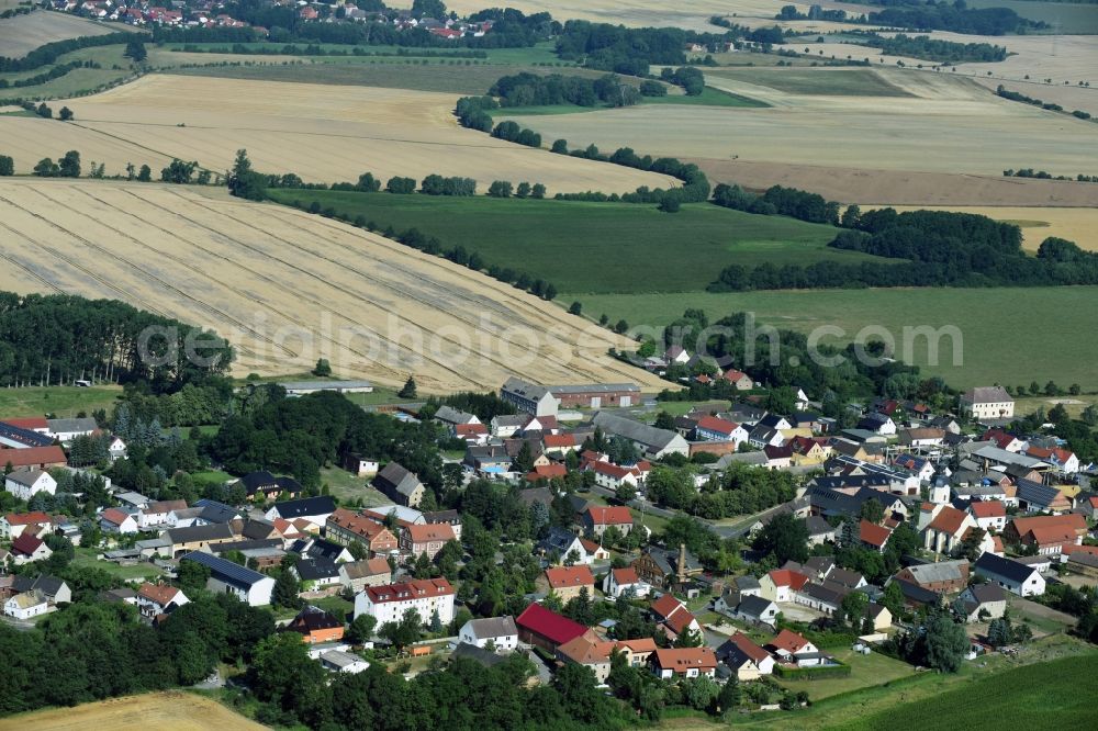 Zschepplin from the bird's eye view: Village view of Zschepplin in the state Saxony