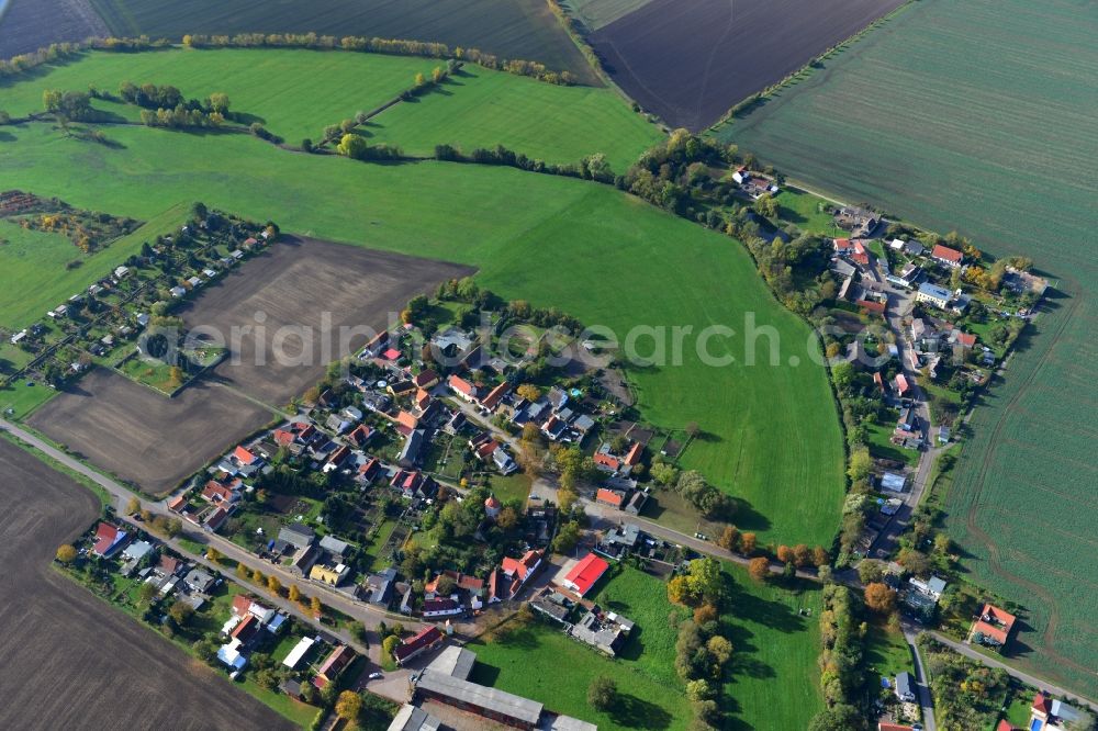 Gödewitz from the bird's eye view: Village Gödewitz in Salzatal in the state of Saxony in Germany