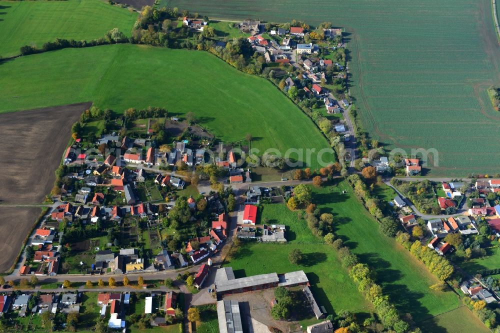 Aerial photograph Gödewitz - Village Gödewitz in Salzatal in the state of Saxony in Germany