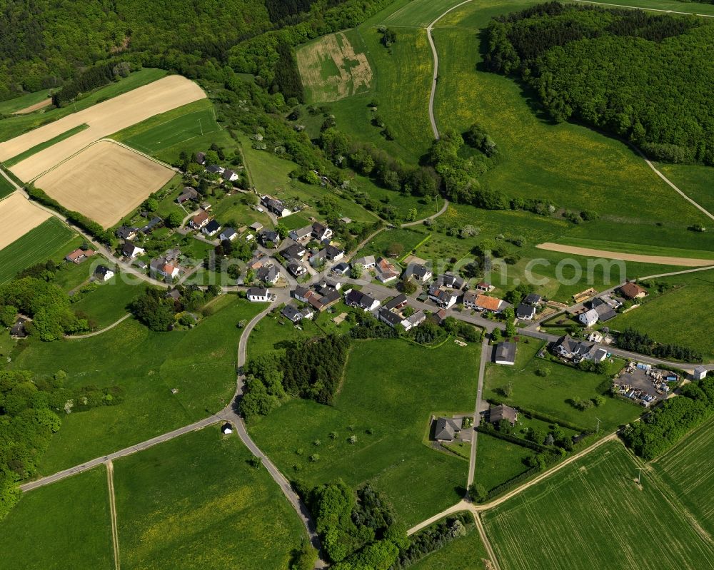 Aerial image Dankerath - View of Dankerath in Rhineland-Palatinate