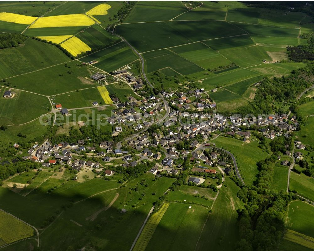 Dedenbach from the bird's eye view: View of Dedenbach in Rhineland-Palatinate