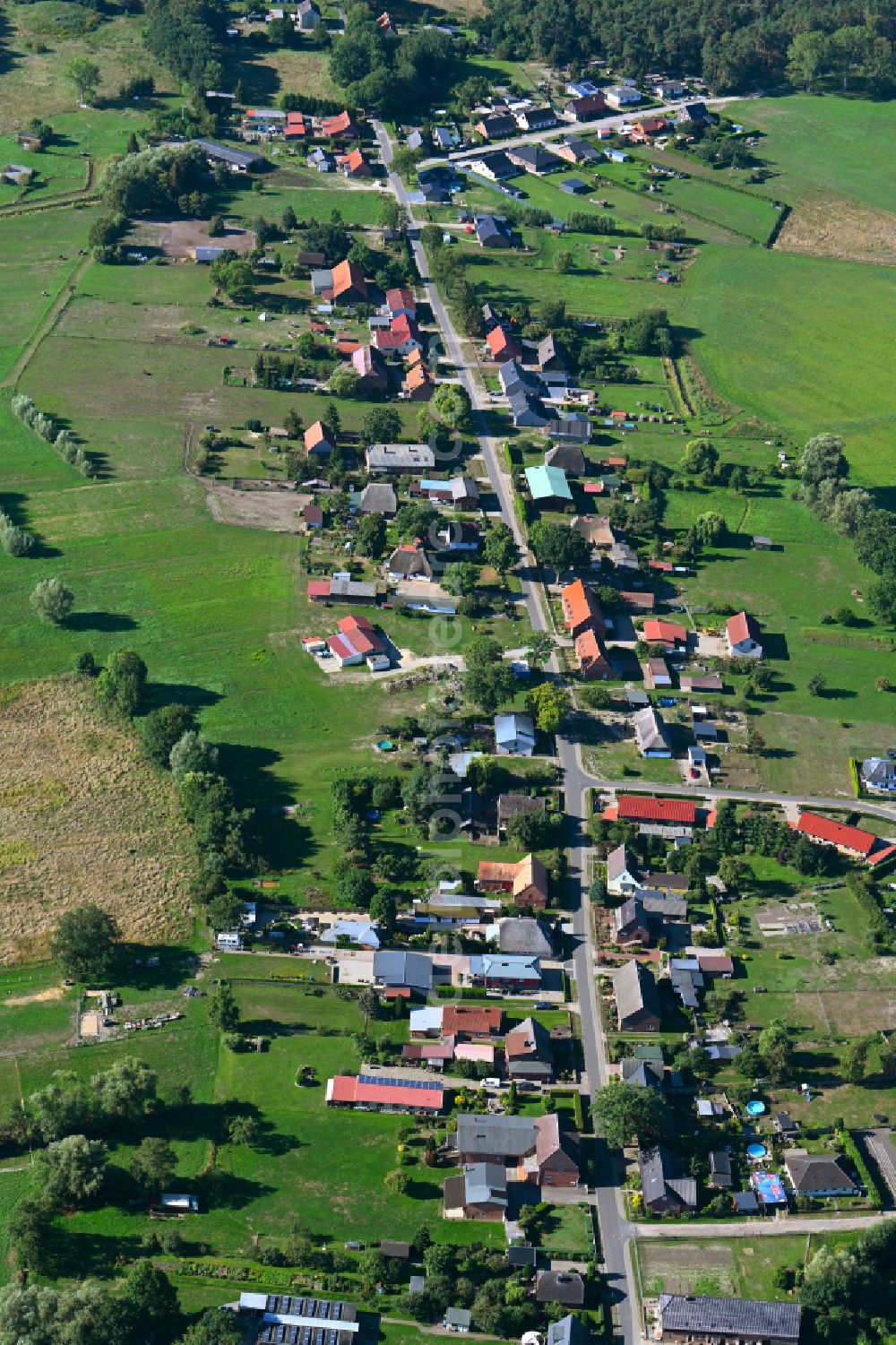 Aerial photograph Neu Brenz - Village - View along the Lindenstrasse in Neu Brenz in the state Mecklenburg - Western Pomerania, Germany