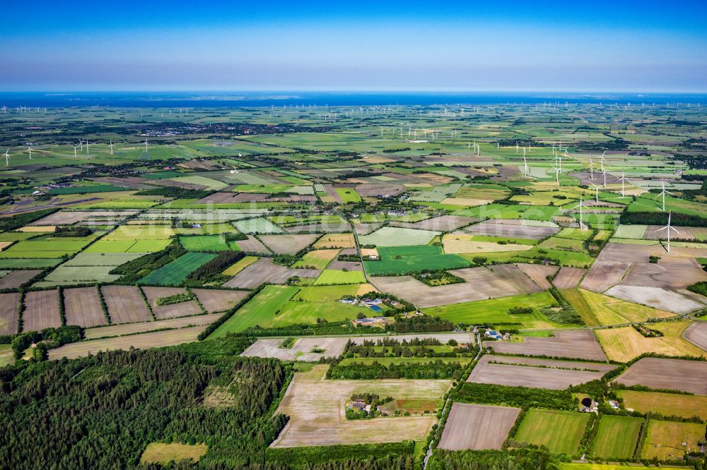 Aerial image Lexgaard - Agricultural land and field boundaries surround the settlement area of the village in Lexgaard in the state Schleswig-Holstein, Germany