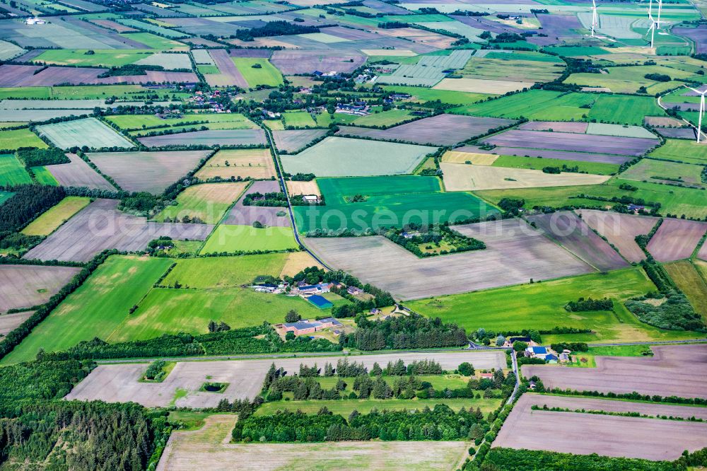 Aerial photograph Lexgaard - Agricultural land and field boundaries surround the settlement area of the village in Lexgaard in the state Schleswig-Holstein, Germany