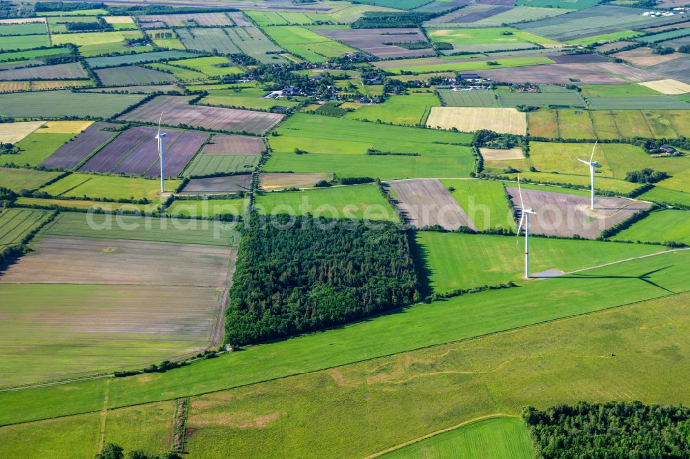 Lexgaard from the bird's eye view: Agricultural land and field boundaries surround the settlement area of the village in Lexgaard in the state Schleswig-Holstein, Germany