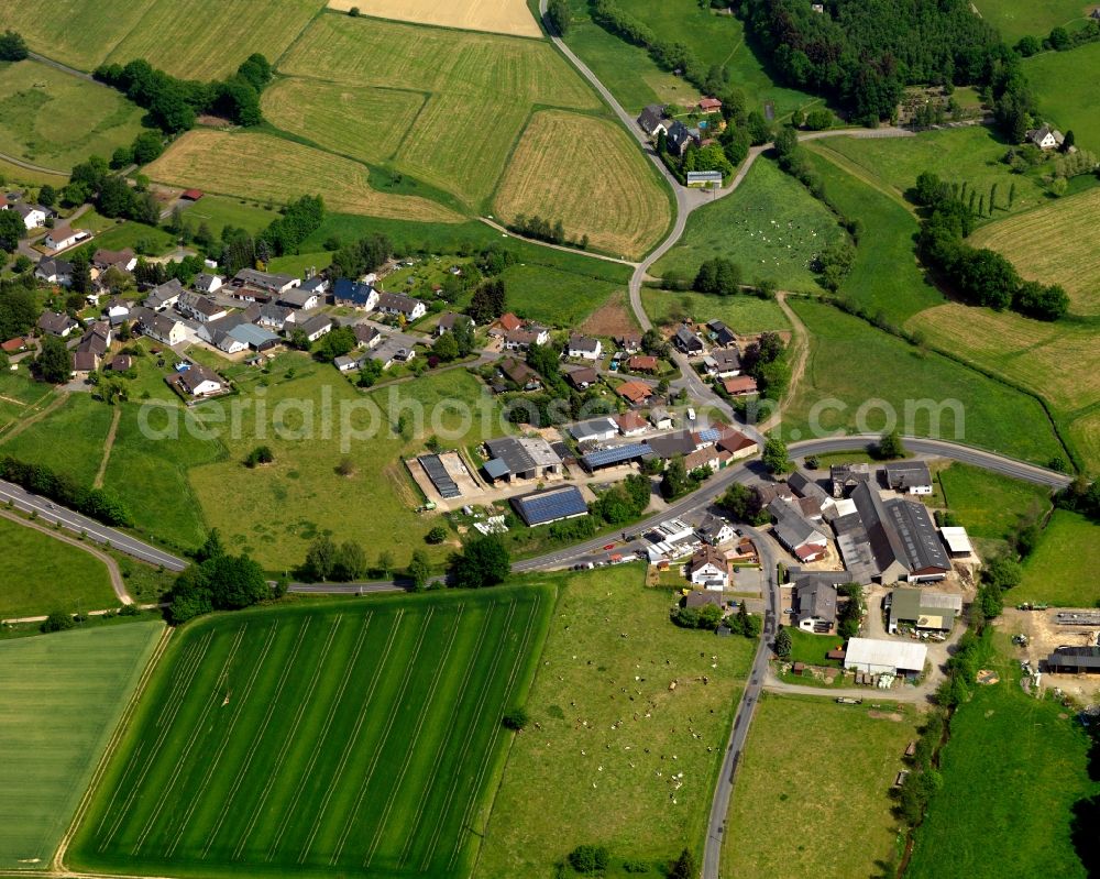 Hasselbach from the bird's eye view: View of Hasselbach in Rhineland-Palatinate