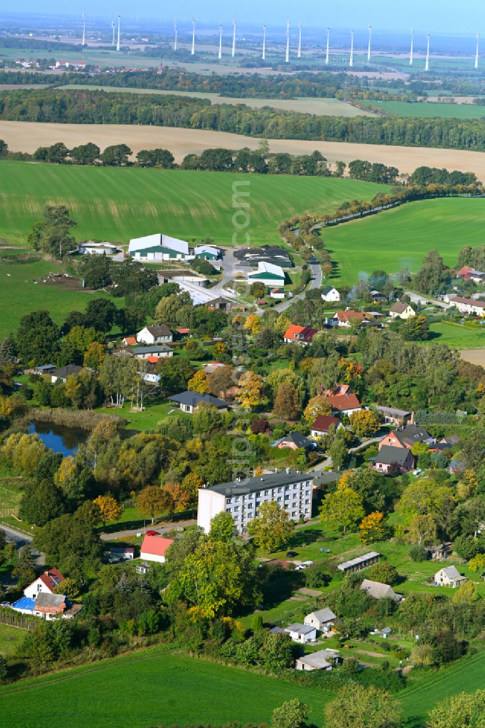 Kreckow from the bird's eye view: Village view in Kreckow in the state Mecklenburg - Western Pomerania, Germany