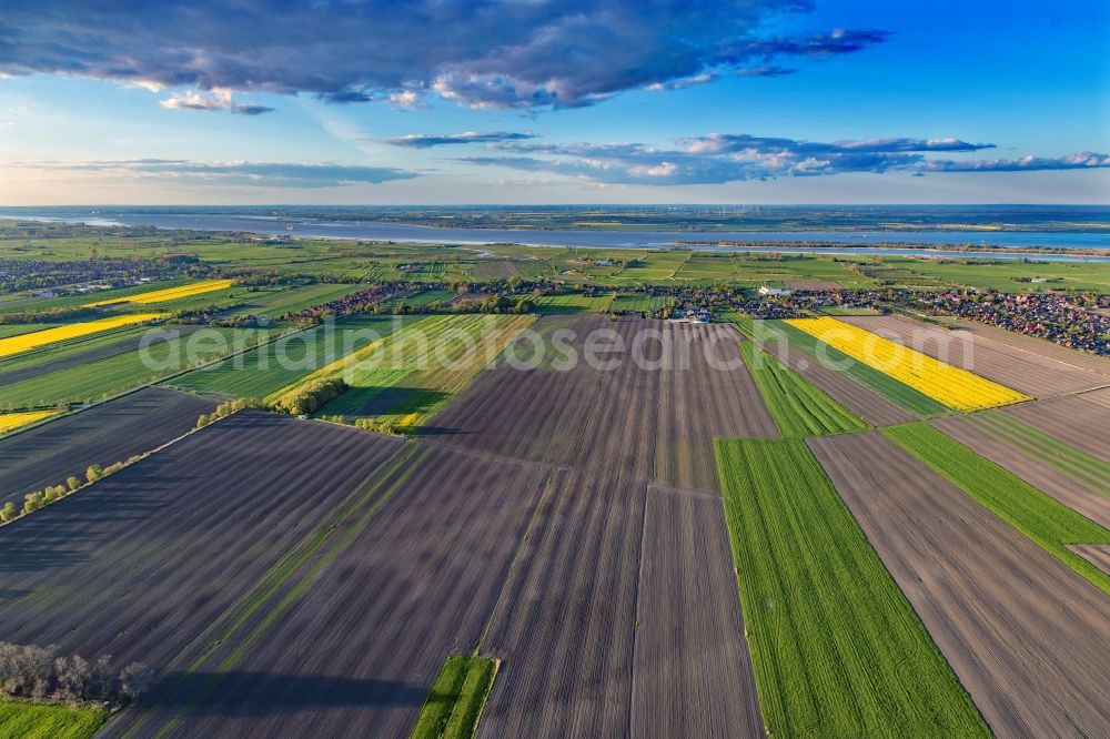 Assel from the bird's eye view: Agricultural land and field boundaries surround the settlement area of the village in Assel in the state Lower Saxony, Germany