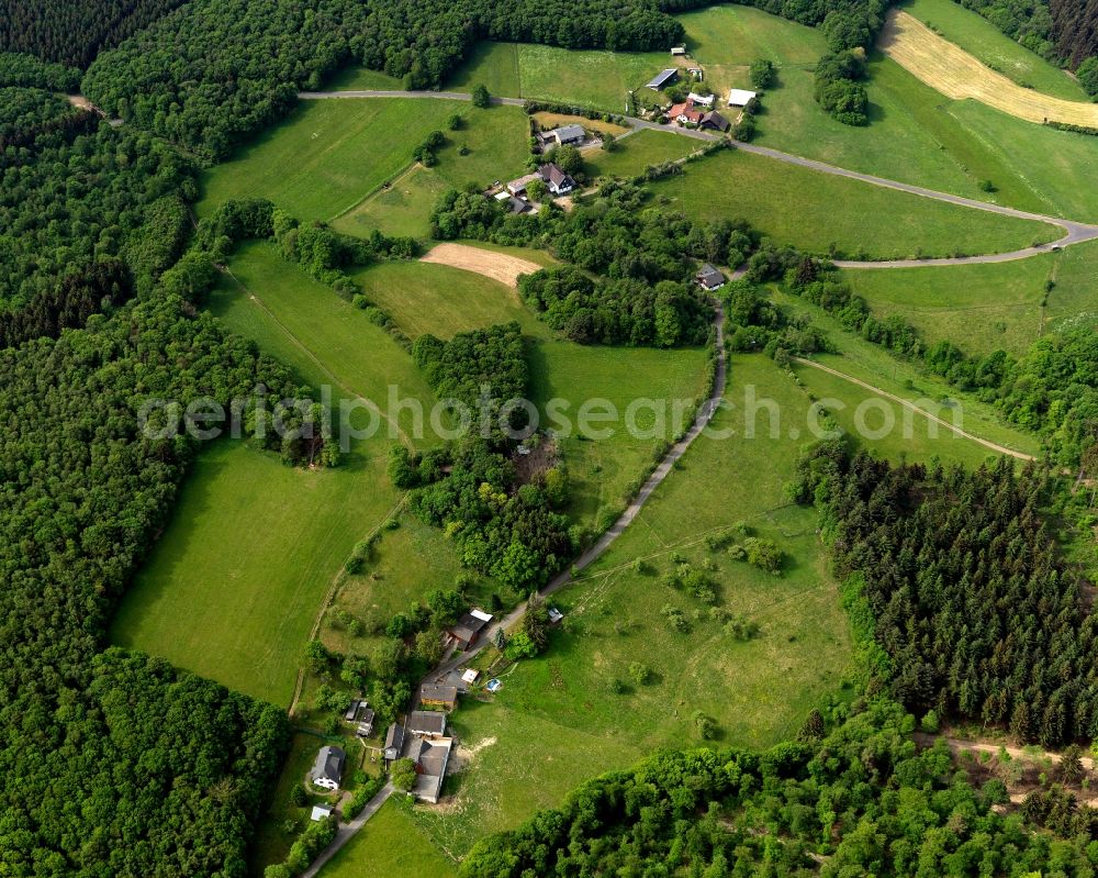 Aerial image Selbach (Sieg) - View of Neuhoefchen-Birnbaum in Selbach (Sieg) in the state of Rhineland-Palatinate