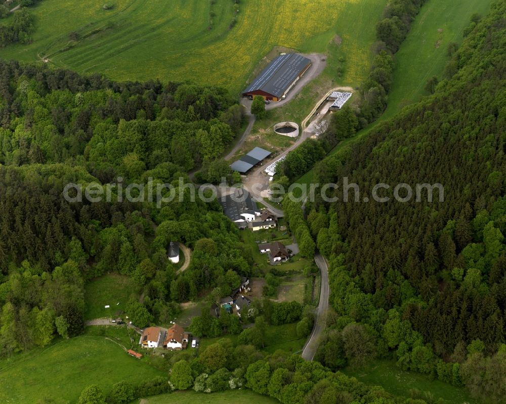 Heckenbach from the bird's eye view: View of Oberheckenbach in Rhineland-Palatinate