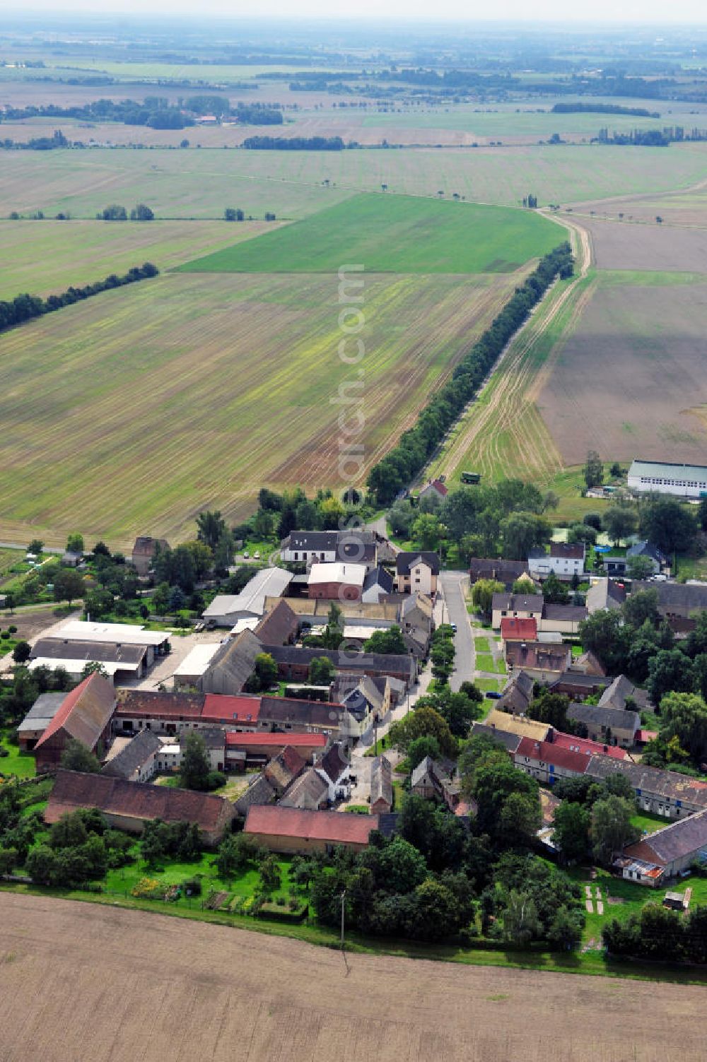 Jesewitz OT Ochelmitz from the bird's eye view: Dorfansicht Ochelmitz an der Liemehnaer Straße in Sachsen. Village scape of Ochelmitz in Saxony.