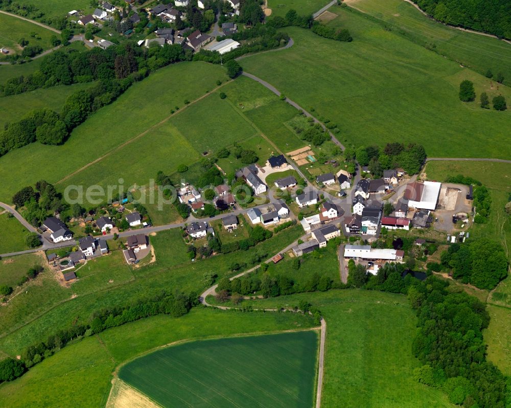 Aerial photograph Seelbach bei Hamm (Sieg) - View of Seelbach bei Hamm (Sieg) in Rhineland-Palatinate