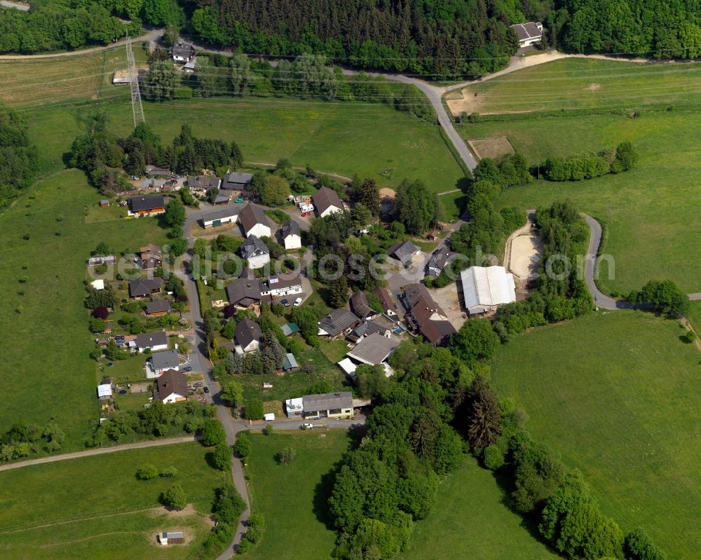 Aerial photograph Seelbach bei Hamm (Sieg) - View of Seelbach bei Hamm (Sieg) in Rhineland-Palatinate