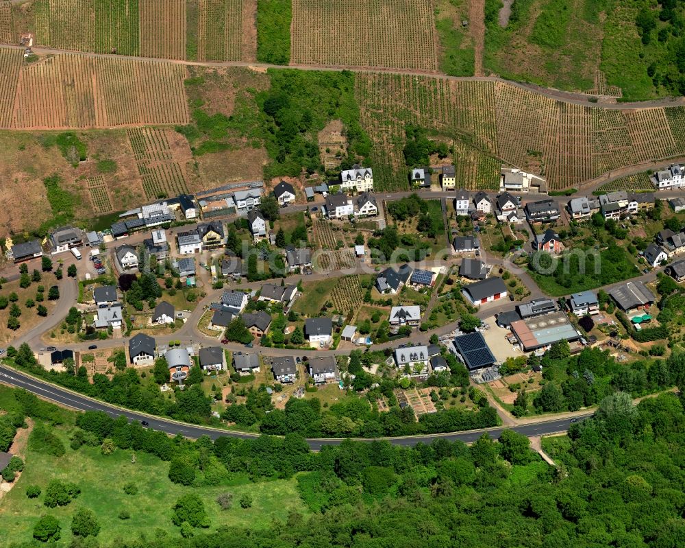 Alf from the bird's eye view: Village core of in Alf in the state Rhineland-Palatinate