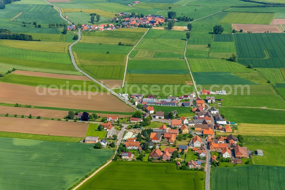 Ammenhausen from above - Agricultural land and field borders surround the settlement area of the village in Ammenhausen in the state Hesse, Germany