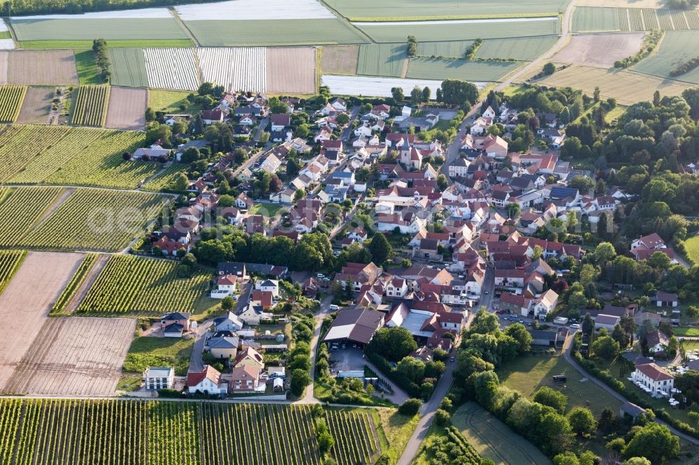 Bissersheim from above - Agricultural land and field borders surround the settlement area of the village in Bissersheim in the state Rhineland-Palatinate, Germany