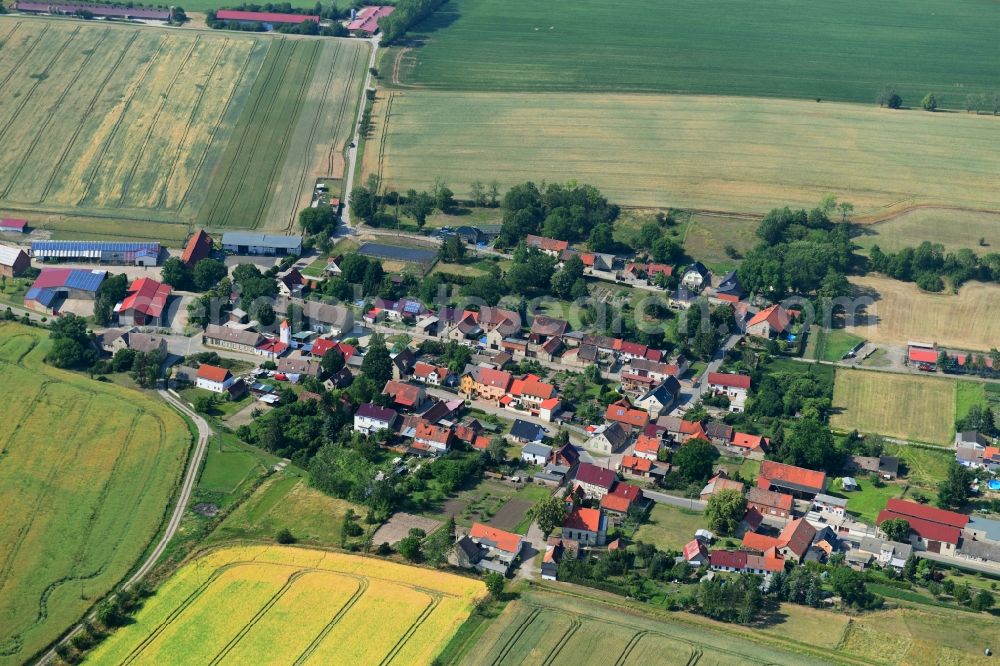 Aerial photograph Dalldorf - Agricultural land and field borders surround the settlement area of the village in Dalldorf in the state Saxony-Anhalt, Germany