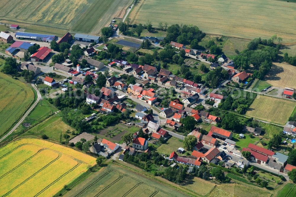 Dalldorf from above - Agricultural land and field borders surround the settlement area of the village in Dalldorf in the state Saxony-Anhalt, Germany