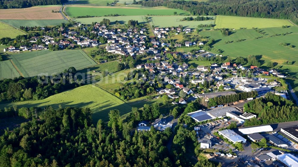 Daufenbach from the bird's eye view: Agricultural land and field borders surround the settlement area of the village in Daufenbach in the state Rhineland-Palatinate, Germany