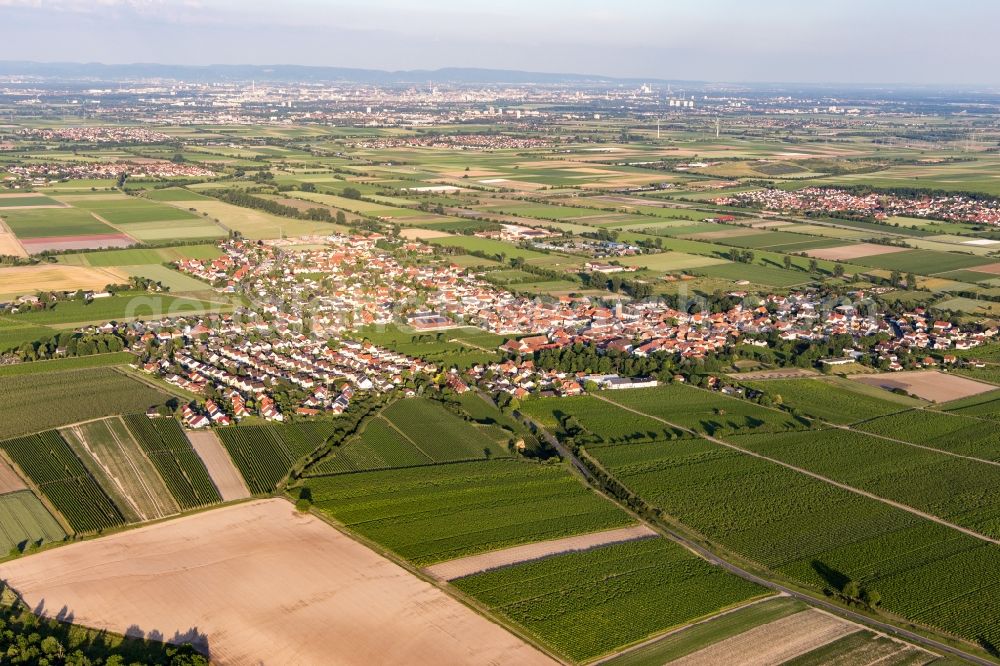 Dirmstein from the bird's eye view: Agricultural land and field borders surround the settlement area of the village in Dirmstein in the state Rhineland-Palatinate, Germany