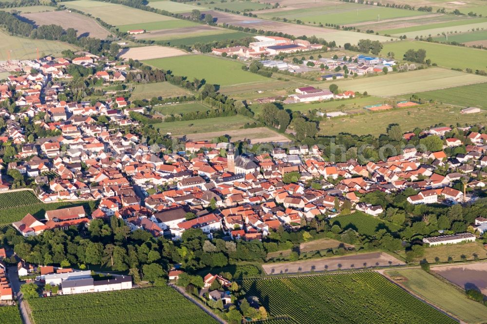 Aerial image Dirmstein - Agricultural land and field borders surround the settlement area of the village in Dirmstein in the state Rhineland-Palatinate, Germany