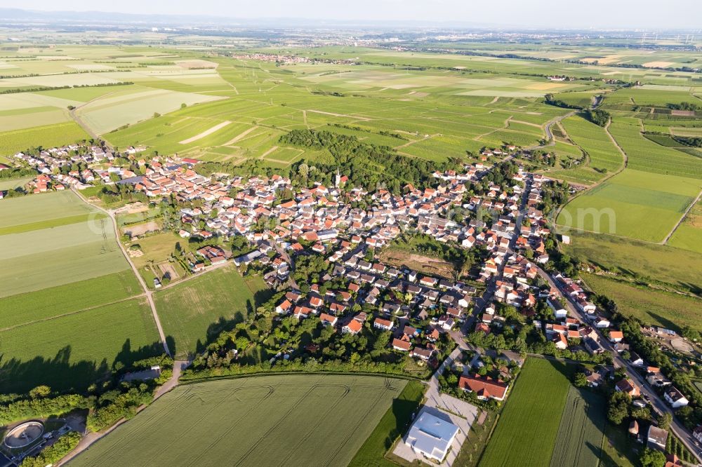 Dittelsheim-Heßloch from above - Agricultural land and field borders surround the settlement area of the village in Dittelsheim-Hessloch in the state Rhineland-Palatinate, Germany