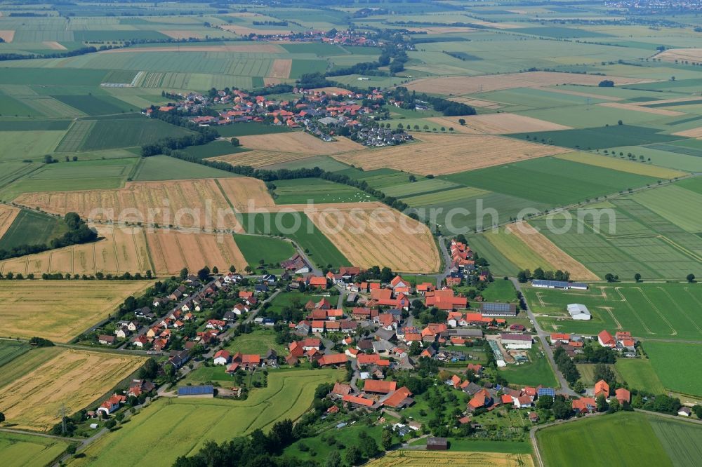 Dörrigsen from the bird's eye view: Agricultural land and field borders surround the settlement area of the village in Doerrigsen in the state Lower Saxony, Germany