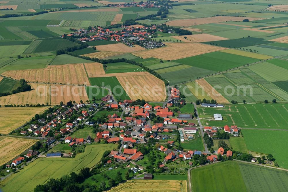 Aerial image Dörrigsen - Agricultural land and field borders surround the settlement area of the village in Doerrigsen in the state Lower Saxony, Germany