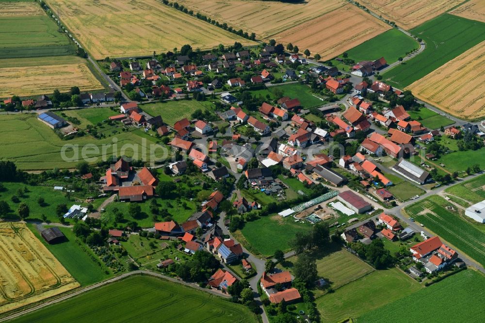 Dörrigsen from the bird's eye view: Agricultural land and field borders surround the settlement area of the village in Doerrigsen in the state Lower Saxony, Germany