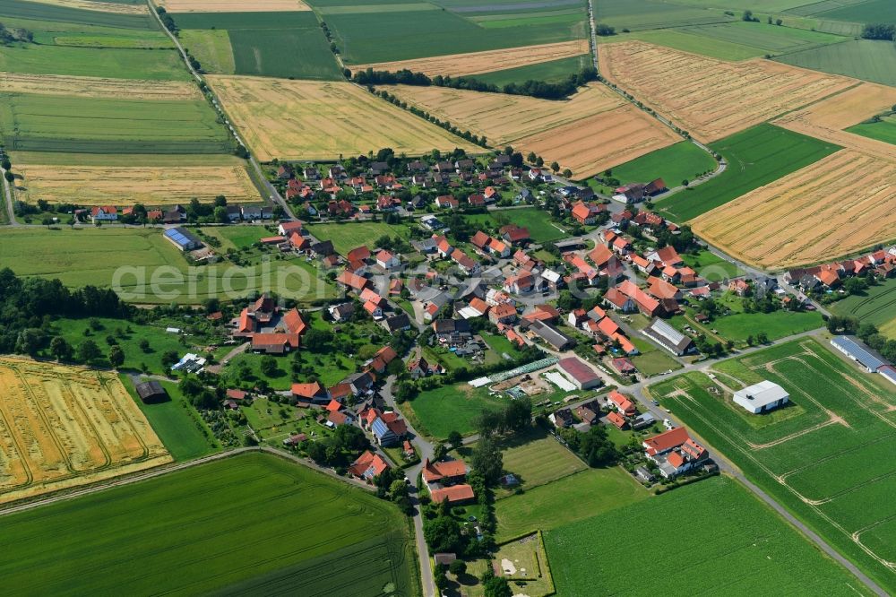 Aerial image Dörrigsen - Agricultural land and field borders surround the settlement area of the village in Doerrigsen in the state Lower Saxony, Germany