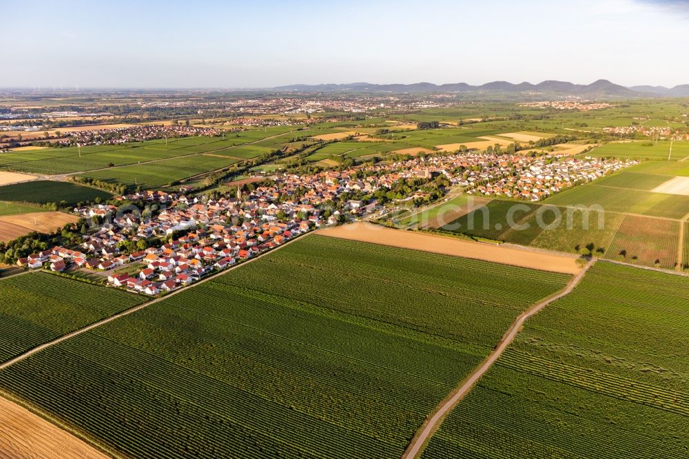 Aerial image Essingen - Agricultural land and field borders surround the settlement area of the village in Essingen in the state Rhineland-Palatinate, Germany