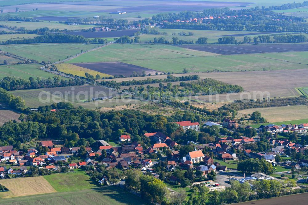 Aerial image Aderstedt - Agricultural land and field boundaries surround the settlement area of the village in Aderstedt in the state Saxony-Anhalt, Germany