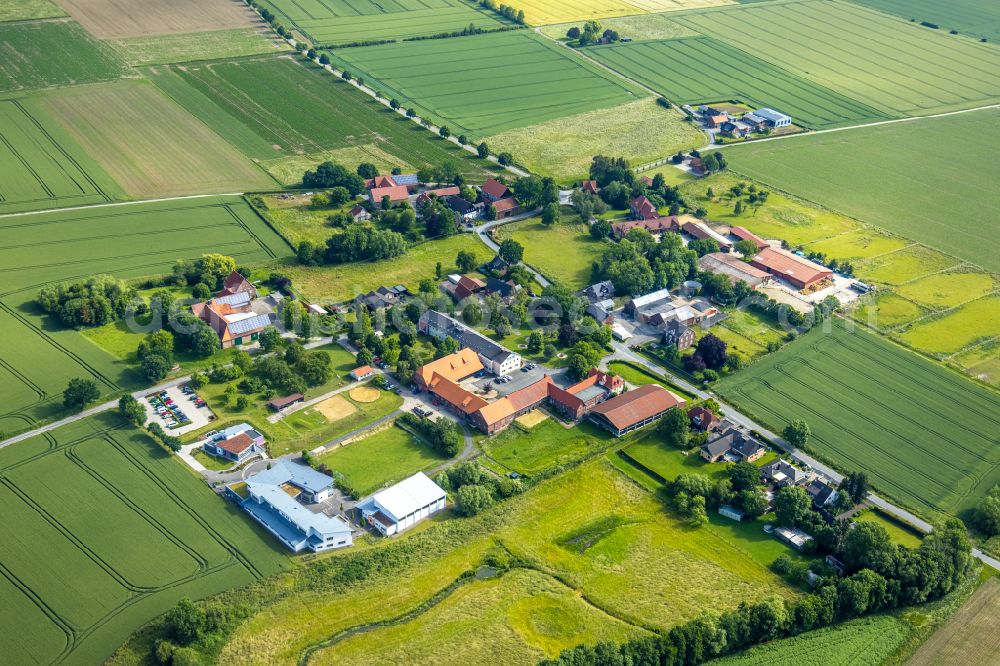 Allen from the bird's eye view: Agricultural land and field boundaries surround the settlement area of the village in Allen in the state North Rhine-Westphalia, Germany