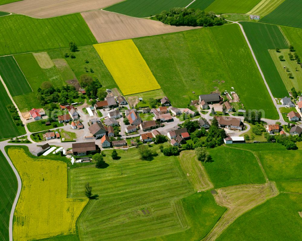 Aerial photograph Alleshausen - Agricultural land and field boundaries surround the settlement area of the village in Alleshausen in the state Baden-Wuerttemberg, Germany