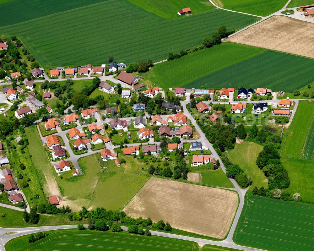 Allmannsweiler from the bird's eye view: Agricultural land and field boundaries surround the settlement area of the village in Allmannsweiler in the state Baden-Wuerttemberg, Germany