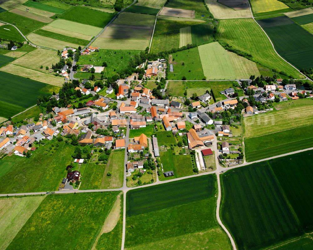 Aerial photograph Allmenrod - Agricultural land and field boundaries surround the settlement area of the village in Allmenrod in the state Hesse, Germany