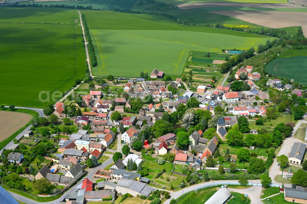 Allstedt from above - Agricultural land and field boundaries surround the settlement area of the village in Allstedt in the state Saxony-Anhalt, Germany