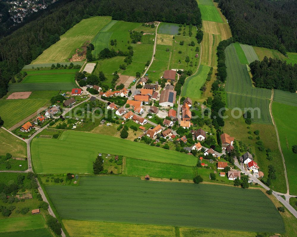 Aerial photograph Altburg - Agricultural land and field boundaries surround the settlement area of the village in Altburg in the state Baden-Wuerttemberg, Germany