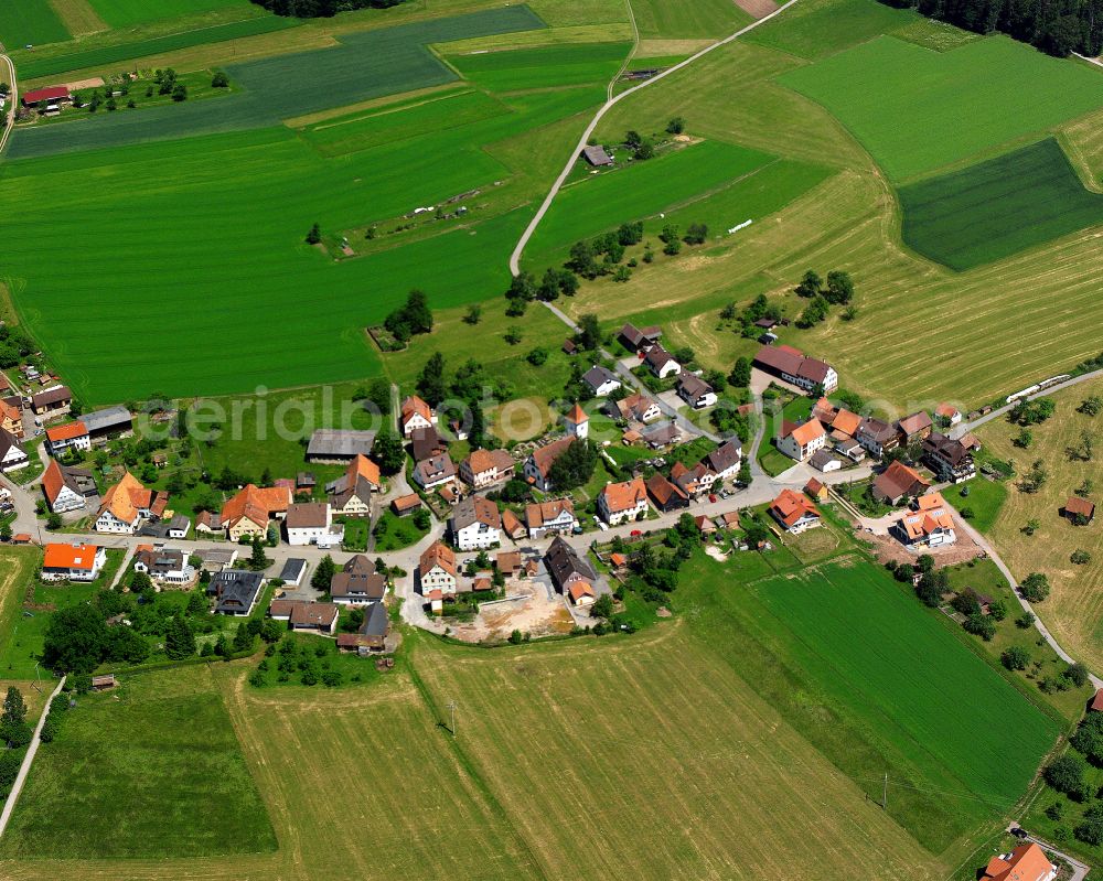 Altensteigdorf from above - Agricultural land and field boundaries surround the settlement area of the village in Altensteigdorf in the state Baden-Wuerttemberg, Germany