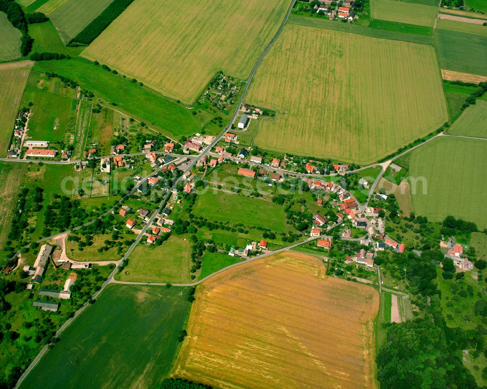 Aerial photograph Althirschstein - Agricultural land and field boundaries surround the settlement area of the village in Althirschstein in the state Saxony, Germany