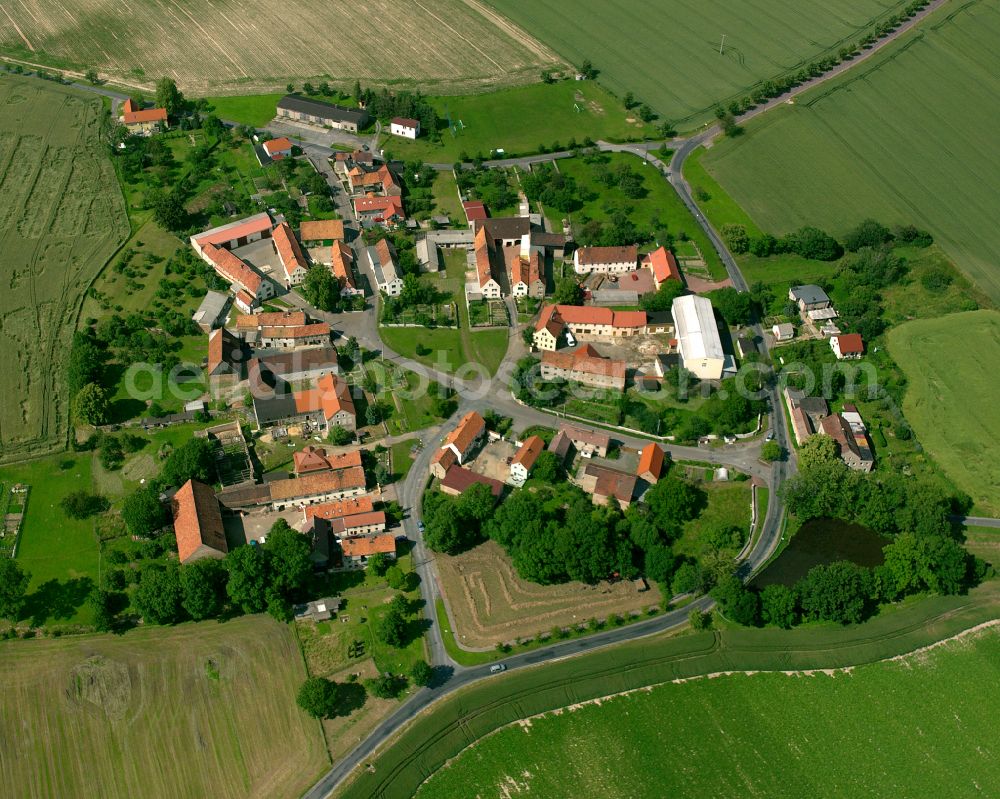 Altleis from the bird's eye view: Agricultural land and field boundaries surround the settlement area of the village in Altleis in the state Saxony, Germany