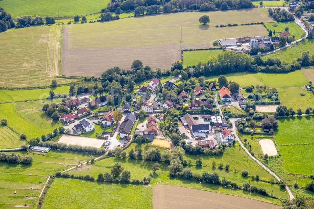 Asbeck from above - Agricultural land and field boundaries surround the settlement area of the village in Asbeck in the state North Rhine-Westphalia, Germany