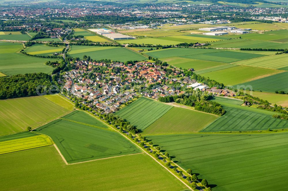 Asel from above - Agricultural land and field boundaries surround the settlement area of the village on street Goeriacher Strasse in Asel in the state Lower Saxony, Germany