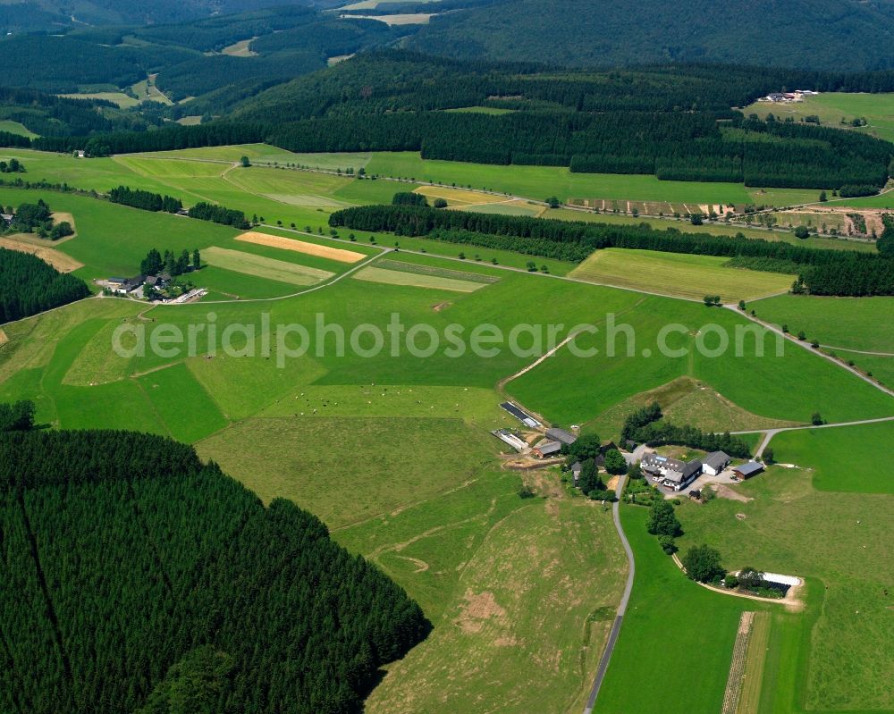 Bad Berleburg from above - Agricultural land and field boundaries surround the settlement area of the village in Bad Berleburg at Siegerland in the state North Rhine-Westphalia, Germany