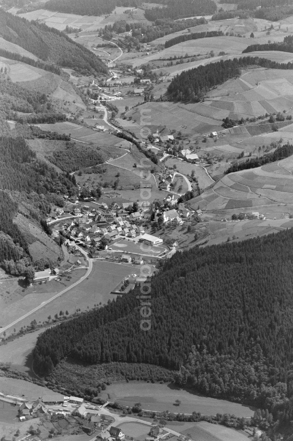 Bad Rippoldsau from the bird's eye view: Agricultural land and field boundaries surround the settlement area of the village in Bad Rippoldsau in the state Baden-Wuerttemberg, Germany