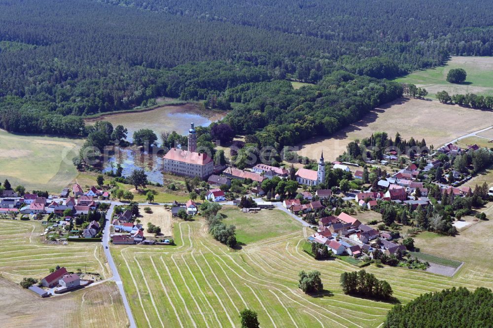 Bad Schmiedeberg from above - Agricultural land and field boundaries surround the settlement area of the village on street Dorfstrasse in the district Reinharz in Bad Schmiedeberg in the state Saxony-Anhalt, Germany