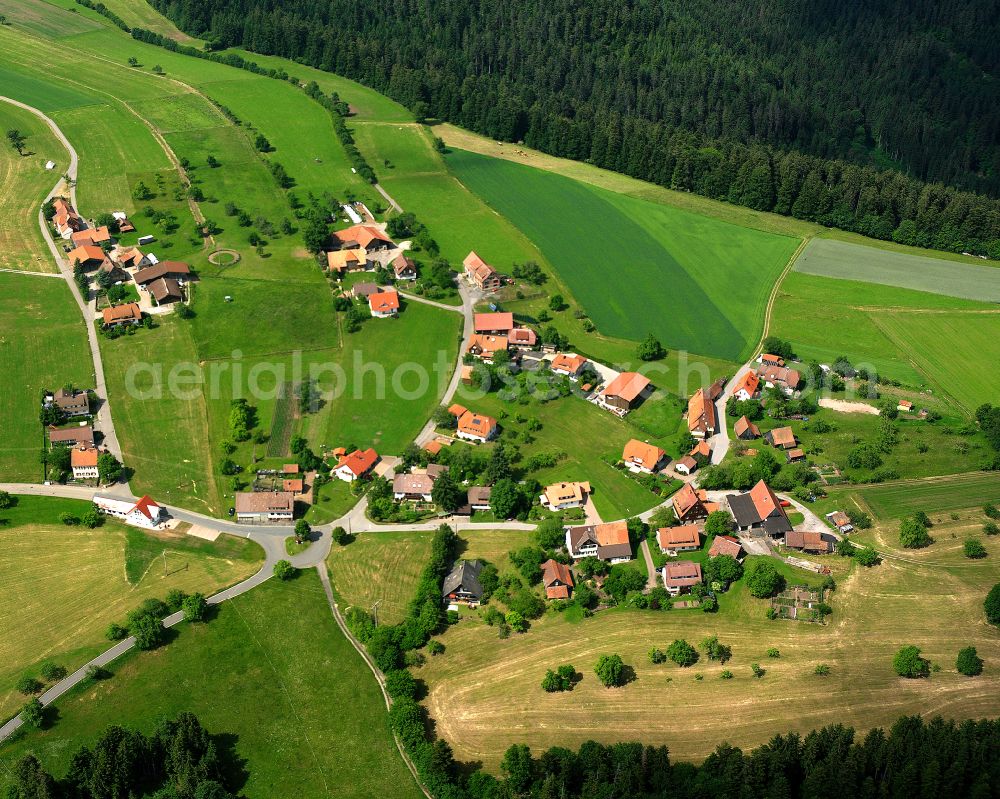 Aerial photograph Bad Teinach - Agricultural land and field boundaries surround the settlement area of the village in Bad Teinach in the state Baden-Wuerttemberg, Germany