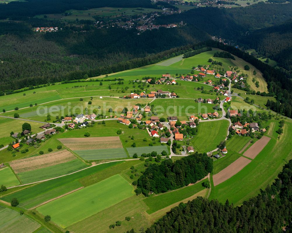 Bad Teinach-Zavelstein from the bird's eye view: Agricultural land and field boundaries surround the settlement area of the village in Bad Teinach-Zavelstein in the state Baden-Wuerttemberg, Germany