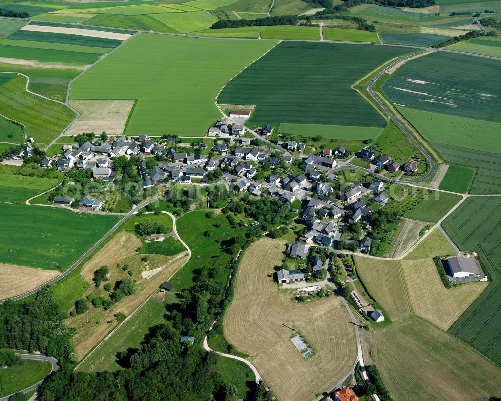 Badenhard from above - Agricultural land and field boundaries surround the settlement area of the village in Badenhard in the state Rhineland-Palatinate, Germany