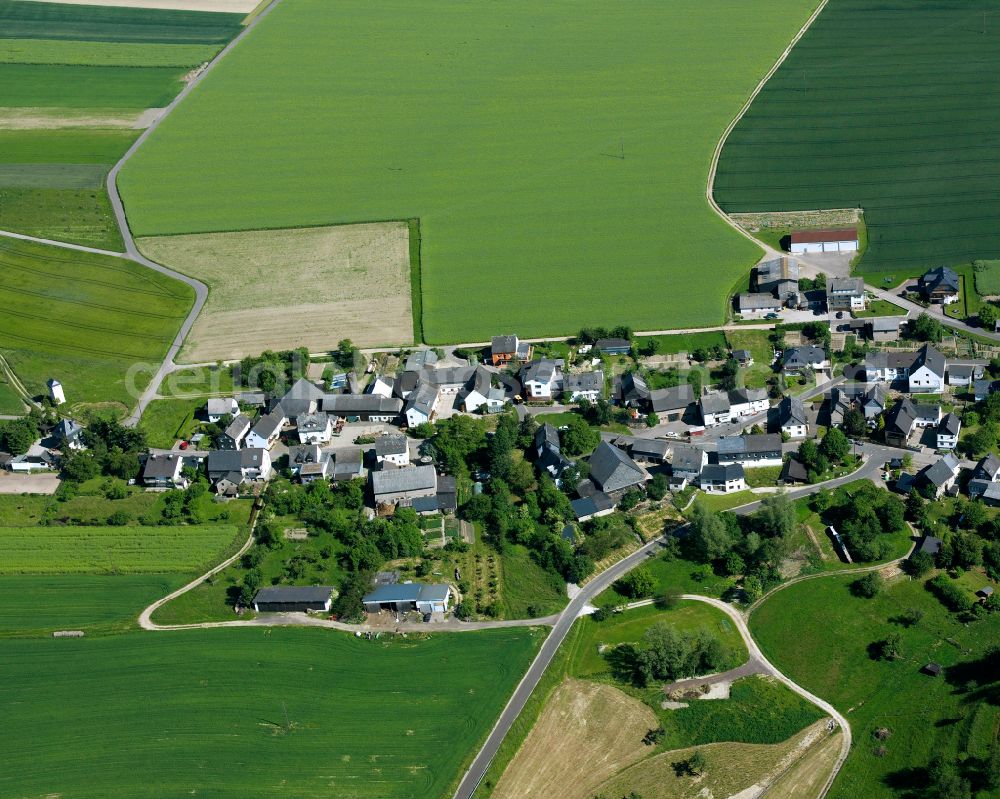 Badenhard from the bird's eye view: Agricultural land and field boundaries surround the settlement area of the village in Badenhard in the state Rhineland-Palatinate, Germany